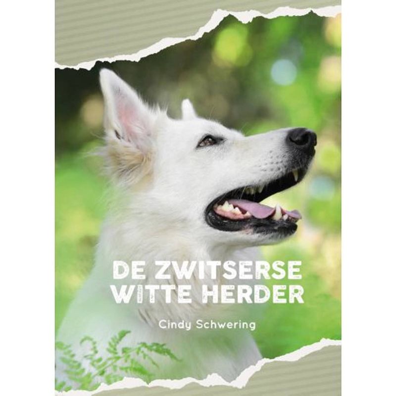 Foto van De zwitserse witte herder