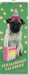 Foto van Verjaardagskalender rachael hale - hond - paperback (9789464326161)