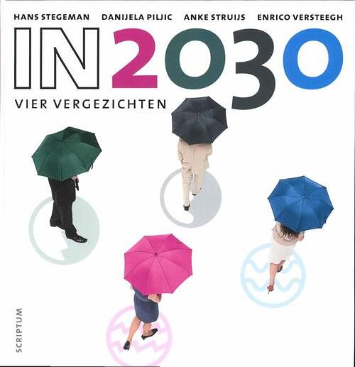 Foto van In 2030 - anke struijs - ebook (9789055948598)