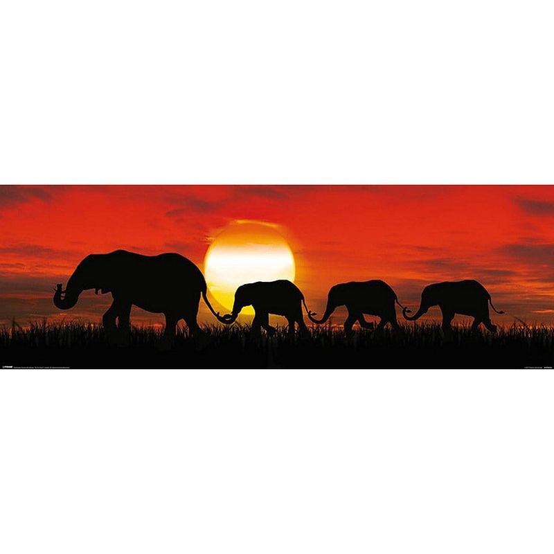 Foto van Pyramid sunset elephants poster 91,5x30,5cm