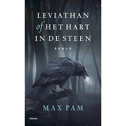 Foto van Leviathan of het hart in de steen