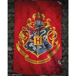 Foto van Gbeye harry potter hogwarts flag poster 40x50cm