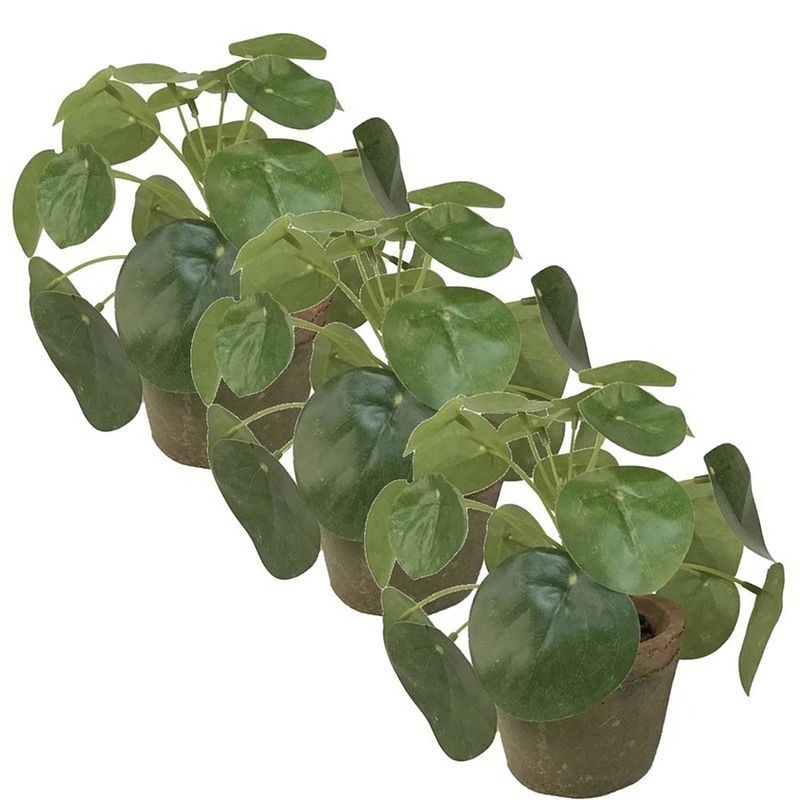 Foto van 3x kunstplanten pilea groen in pot 13 cm - kunstplanten