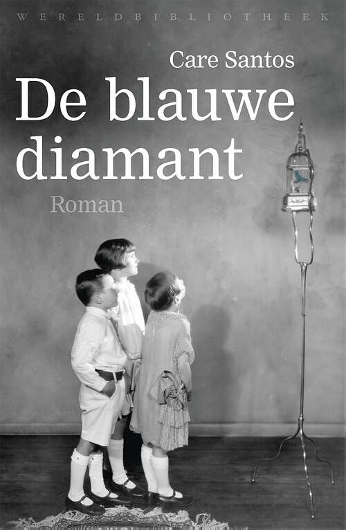 Foto van De blauwe diamant - care santos - ebook (9789028442993)