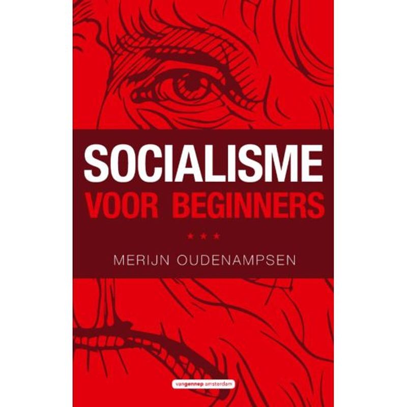 Foto van Socialisme voor beginners