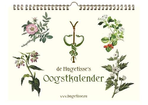 Foto van De hagetisse'ss oogstkalender - emma storris - paperback (9789492502599)