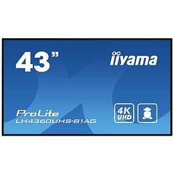 Foto van Iiyama prolite lh4360uhs-b1ag digital signage display energielabel: g (a - g) 108 cm 42.5 inch 3840 x 2160 pixel 24/7