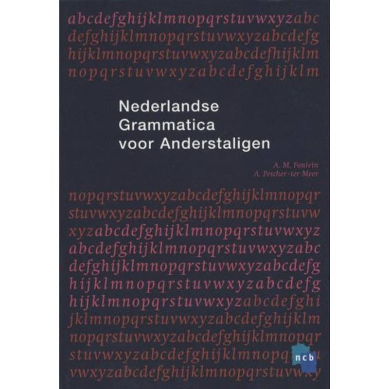 Foto van Nederlandse grammatica voor anderstaligen