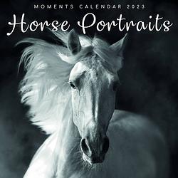 Foto van Horse portraits kalender 2023