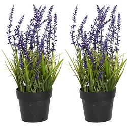 Foto van 2x stuks lavendel kunstplant in pot - violet paars - d15 x h30 cm - kunstplanten
