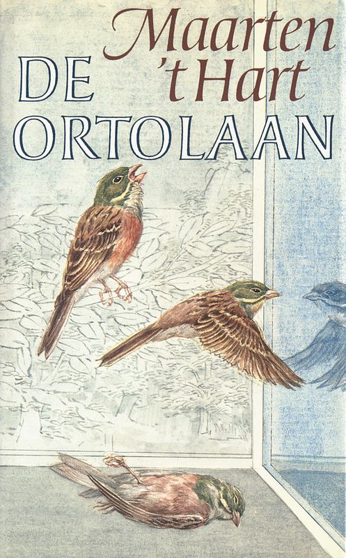 Foto van De ortolaan - maarten 'st hart - ebook (9789029581745)