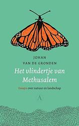 Foto van Het vlindertje van methusalem - johan van de gronden - ebook (9789025309657)