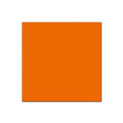Foto van 25x servetten van papier oranje 33 x 33 cm - feestservetten
