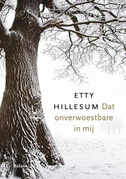 Foto van Dat onverwoestbare in mij - etty hillesum - ebook (9789460039454)