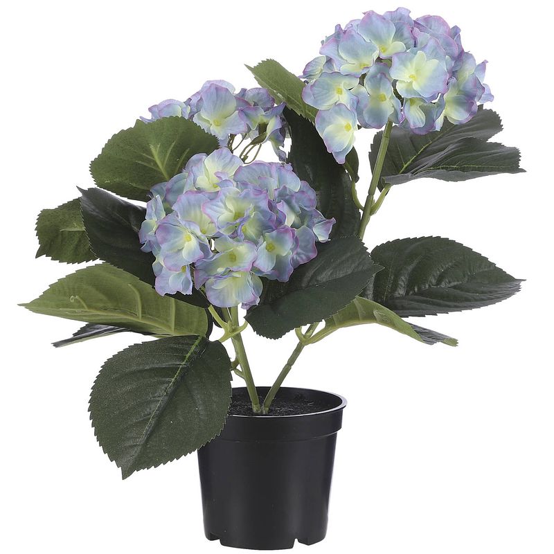 Foto van Creme blauwe hydrangea/hortensia kunstplant 32 cm in pot - kunstplanten