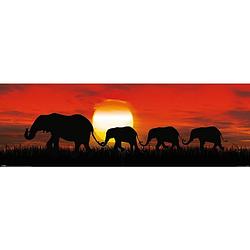 Foto van Pyramid sunset elephants poster 91,5x30,5cm