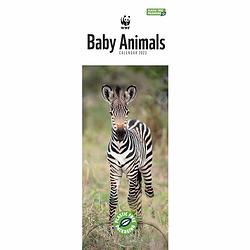 Foto van Wwf baby animals slimline kalender 2023