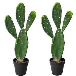 Foto van Set van 2x stuks atmosphera cactus kunstplanten in kunststof pot 60 cm - kunstplanten