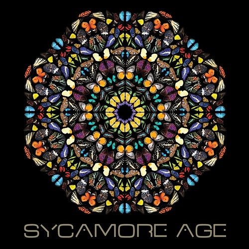 Foto van Sycamore age - lp (8016670147046)