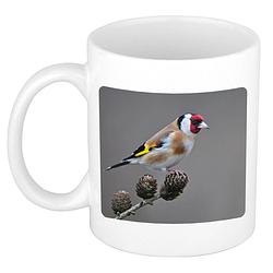 Foto van Dieren foto mok putter vogel - vogels beker wit 300 ml - feest mokken