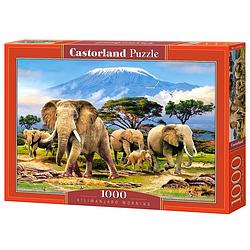 Foto van Castorland puzzel kilimanjaro ochtend - 1000 stukjes