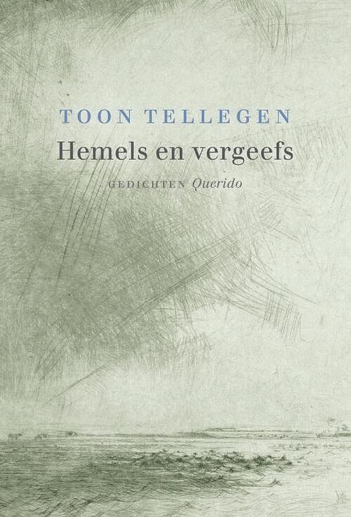 Foto van Hemels en vergeefs - toon tellegen - ebook (9789021449289)