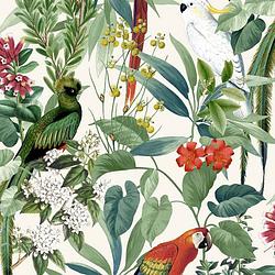 Foto van Dutch wallcoverings behang tropische vogels wit en groen