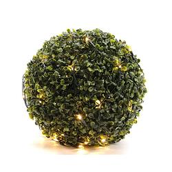 Foto van 2 stuks led netverlichting buxus buit diameter 35cm-60l groen warm wit lumineo