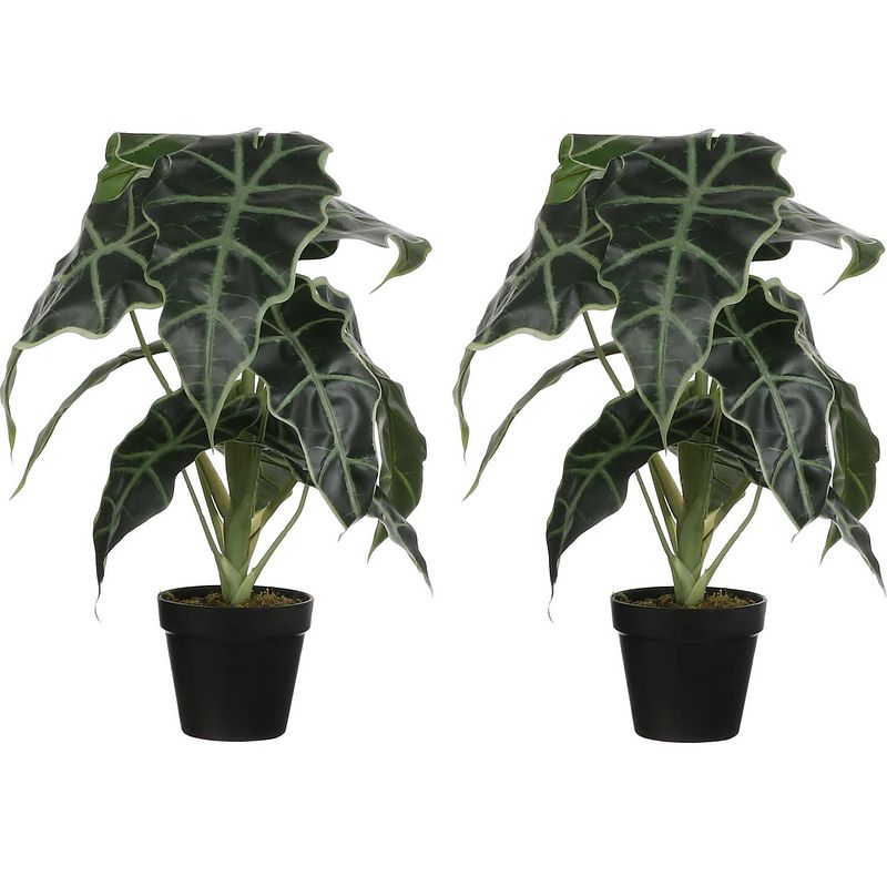 Foto van 2x stuks alocasia kunstplanten groen in pot h50 cm - kunstplanten