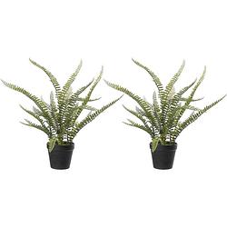 Foto van Varen nephrolepis - 2x stuks - kunstplant - groen - 50 cm - kunstplanten