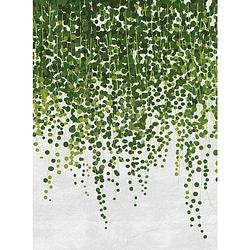Foto van Wizard+genius hanging plants vlies fotobehang 192x260cm 4-banen