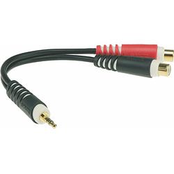 Foto van Klotz ays-4 y adapter 3.5mm jack stereo - 2x rca female 0.2m