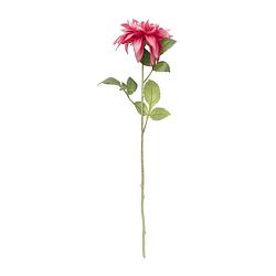 Foto van Kunstbloem dahlia - fuchsia - 75 cm