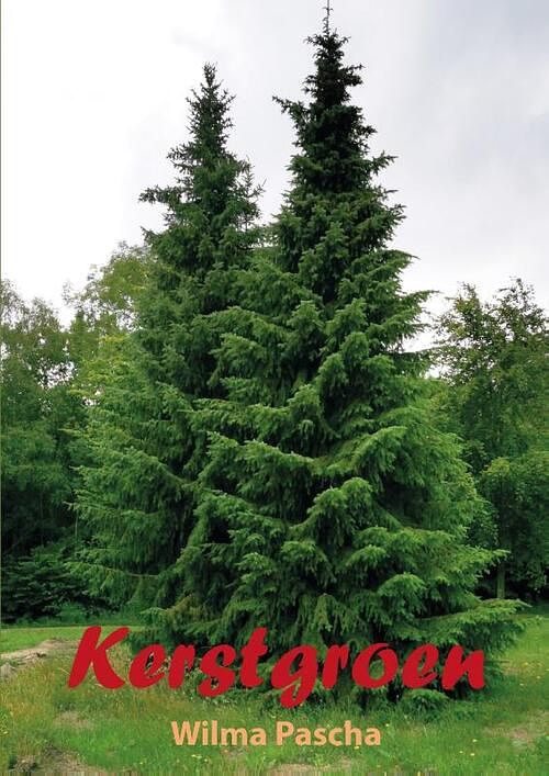 Foto van Kerstgroen - wilma pascha - paperback (9789463900461)