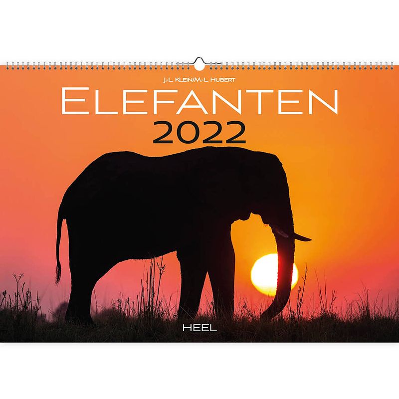 Foto van Comello kalender olifanten 2022 papier 47,5 x 33 cm