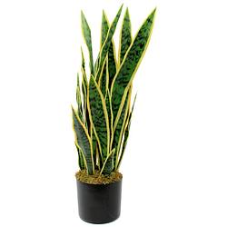 Foto van Sansevieria kunstplant 70cm