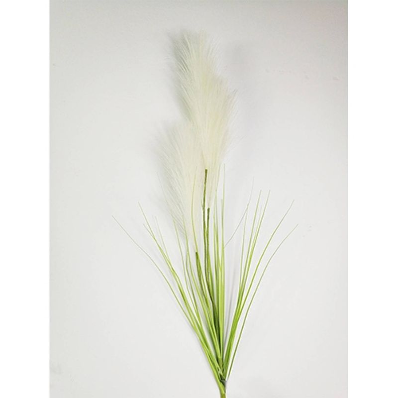 Foto van Pampas gras 80cm met blad creme