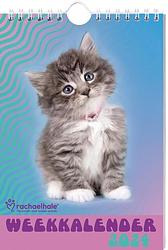 Foto van Rachael hale katten weekkalender - 2024 - spiraalgebonden (9789464325829)