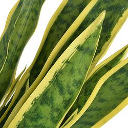 Foto van The living store kunst sanseveria plant - 65 cm - realistische uitstraling