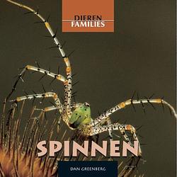 Foto van Spinnen - dierenfamilies