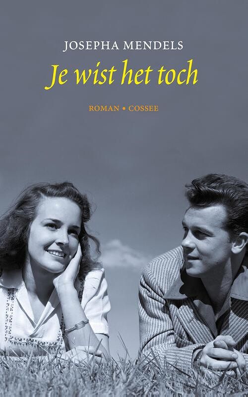 Foto van Je wist het toch - josepha mendels - ebook (9789059366565)