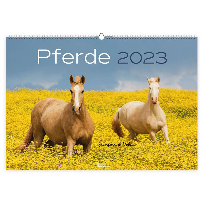 Foto van Paarden kalender 2023