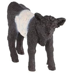 Foto van 13969 schleich galloway kalf