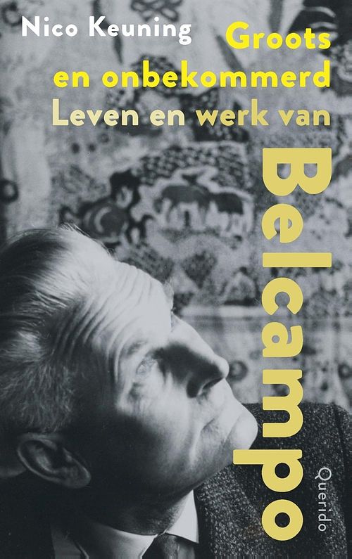 Foto van Groots en onbekommerd - nico keuning - ebook