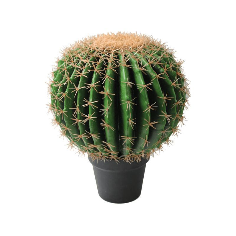 Foto van Kunst cactus ø35cm