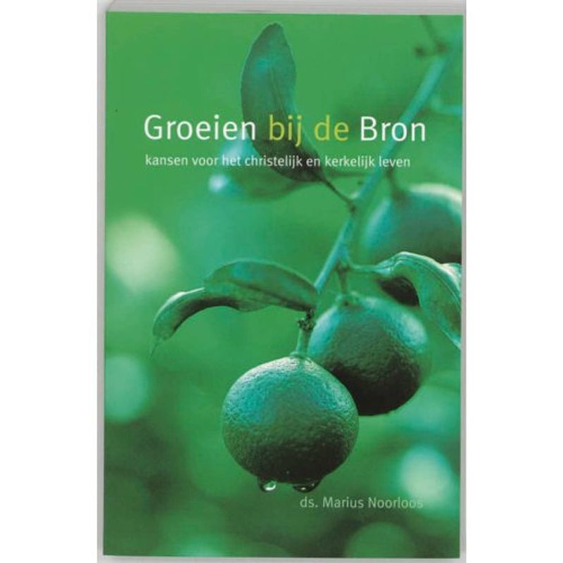 Foto van Groeien bij de bron