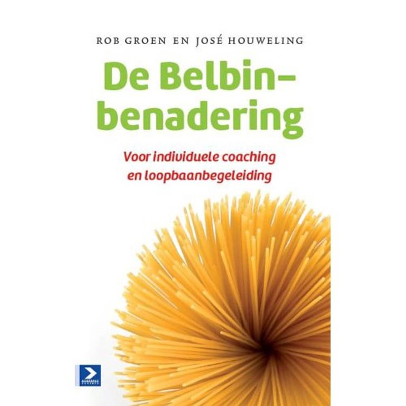 Foto van De belbin-benadering