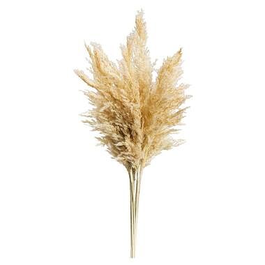 Foto van Pampas pluim vinz - naturel - 75 cm - leen bakker