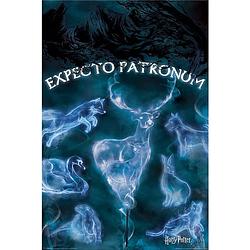 Foto van Pyramid harry potter patronus poster 61x91,5cm