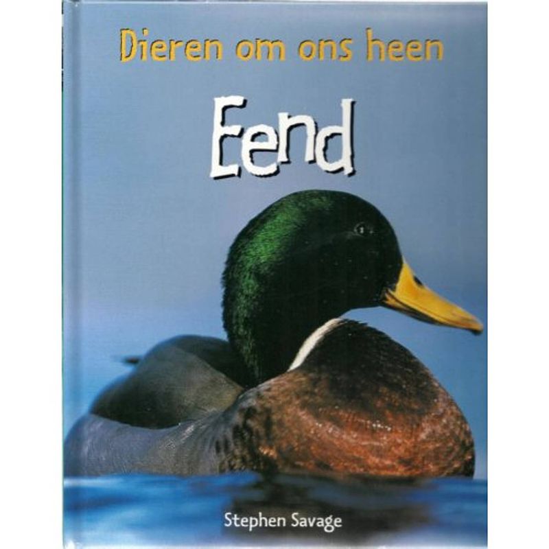 Foto van Eend - dieren om ons heen